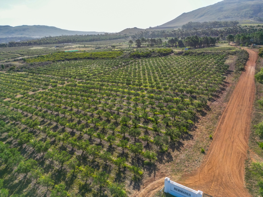 Commercial Property for Sale in Bot River Western Cape